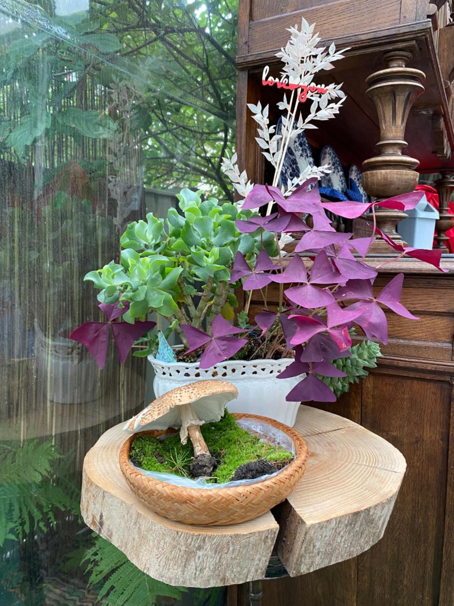 Parus Boutique Hotel Jūrkalne エクステリア 写真
