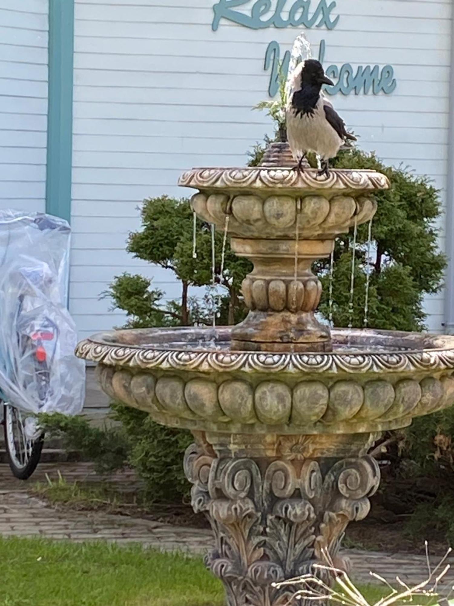 Parus Boutique Hotel Jūrkalne エクステリア 写真