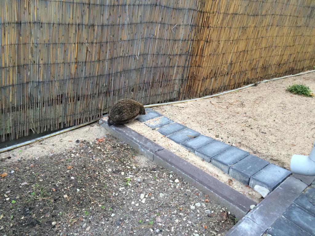 Parus Boutique Hotel Jūrkalne エクステリア 写真