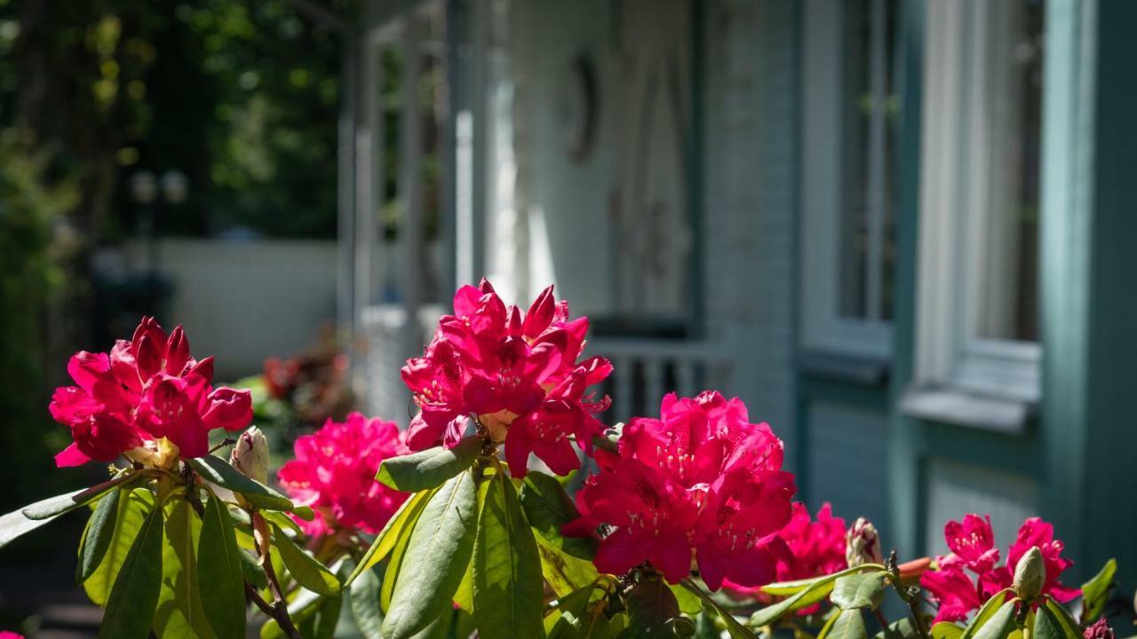 Parus Boutique Hotel Jūrkalne エクステリア 写真